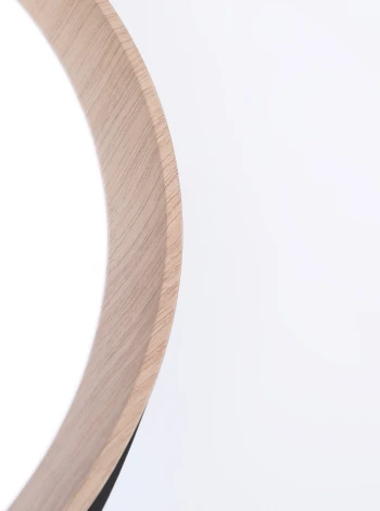 Потолочный светильник круглый светодиодный Ambrella Orbital FZ1326 (220V, пульт управления, круглые)