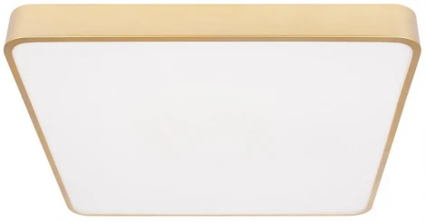 Потолочные светильники Loft It Flims 10228/D (LED, 220V)