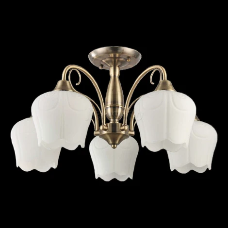 Collezioni Bacco TC-110-105