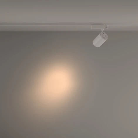 Трековый светильник Vuoro Trinity 3000K 20Вт 24° LED (трехфазный) Maytoni Technical TR029-3-20W3K-S-W (220V, круглые)