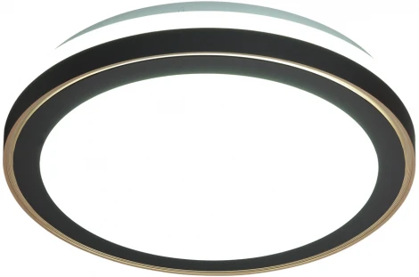 Настенно-потолочный светильник Akuna 7620/DL (регулировка яркости, LED, 220V, пульт управления, круглые, IP43)