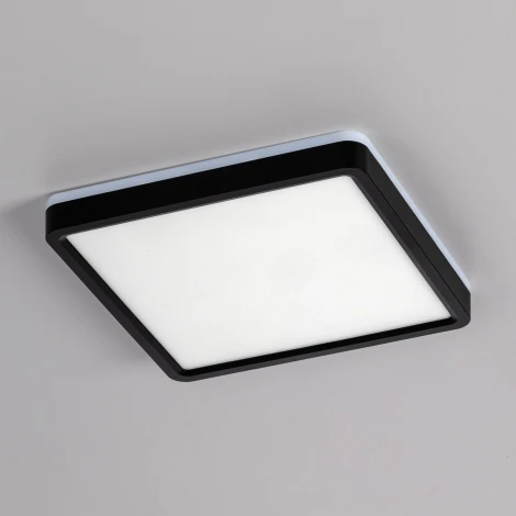 Настенно-потолочный светильник светодиодный с подсветкой Citilux Norma CL748K201 (220V, IP40)