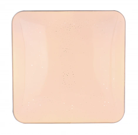 Потолочный светильник светодиодный Lassy 48406-24 Globo (220V)