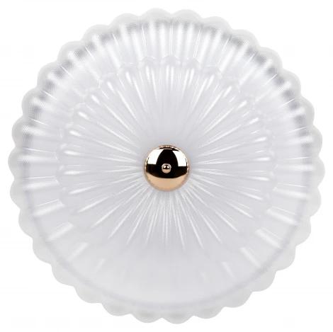 Потолочный светильник светодиодный с регулировкой цветовой температуры ЭРА SPB-6 Chester 84W-3K-6,5K WH+GD