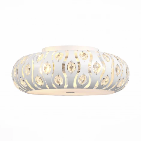 Потолочный светильник ST Luce Calma SL793.502.05