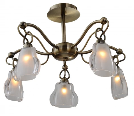 Потолочная люстра ST Luce SL316 SL316.302.05