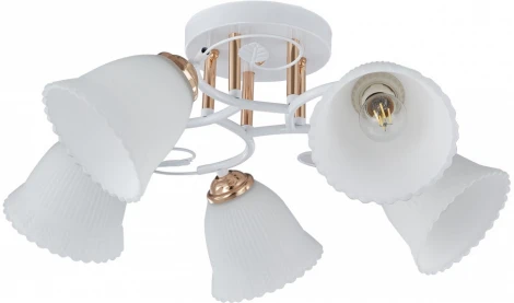 Потолочная люстра на штанге Arte Milano AMALFI-325395 325395/5A WH+FG (220V)