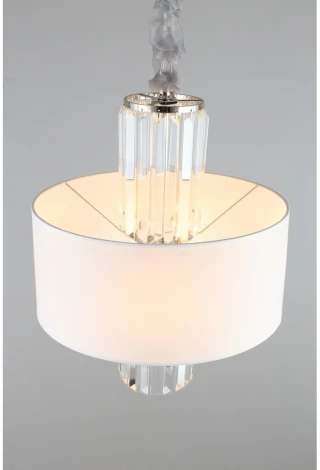 Подвесная люстра Aployt Karola APL.841.03.04 (220V, на цепи, круглые)