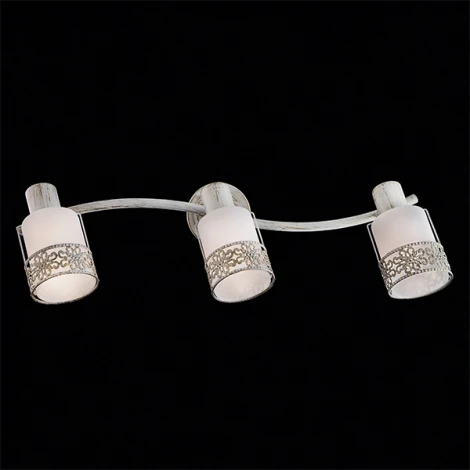 Спот на штанге Eurosvet 20025-20026 20025/3 белый с золотом (220V, круглые)