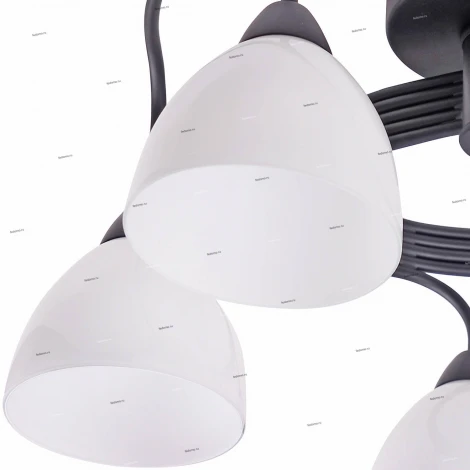 Потолочная люстра J-Light Fordy 1756/5C