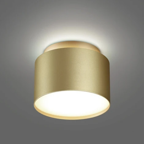 Светильник накладной Novotech Lirio 371039 золото матовое IP20 GX53 12Вт 220-240V