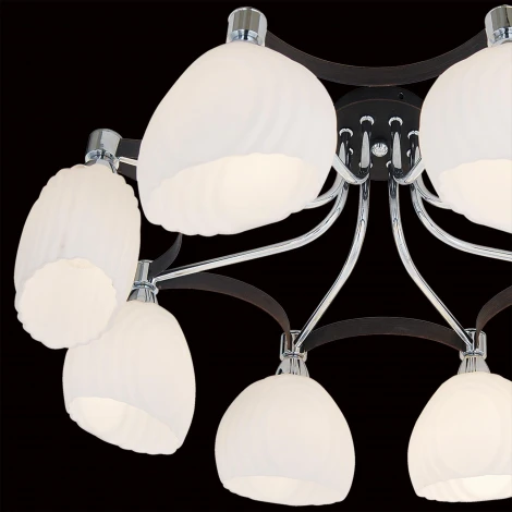 Потолочная люстра Citilux Iris CL143181