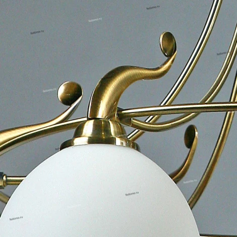 Brizzi Almeria MA02401CA/006 Bronze