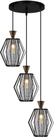 Подвесной светильник Reluce 00903-0.9-03 BK (220V, на проводе)