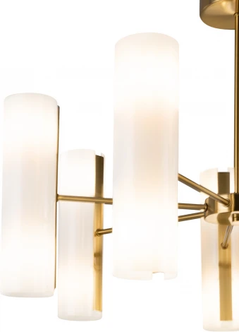 Потолочная люстра на штанге Freya Fiore FR5368CL-14BS (220V, круглые)