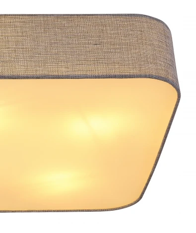 Потолочный светильник Paco 15185D8