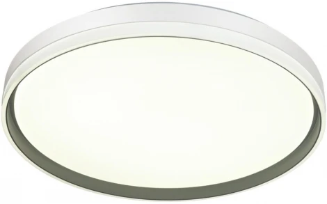 Настенно-потолочный светильник Savi 7631/DL (регулировка яркости, LED, 220V, пульт управления, круглые, IP43)