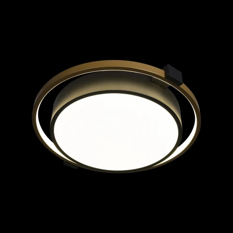 Потолочный светильник круглый Mike 10169 (LED, 220V, круглые)