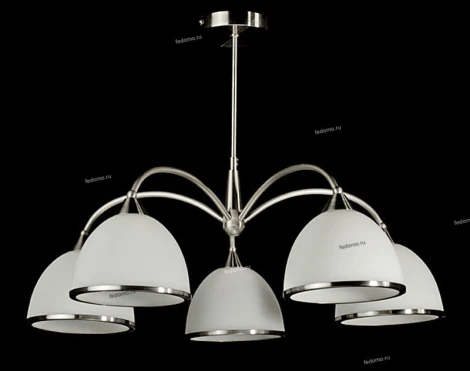 Brizzi 02269 MA02269С/005