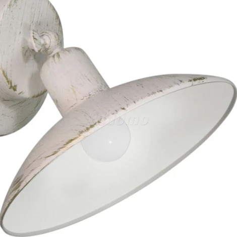 Спот Day&Night S9191-1