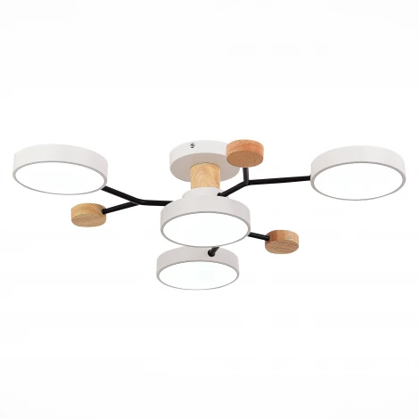 Потолочная люстра на штанге Evoluce Faema SLE6006-502-04