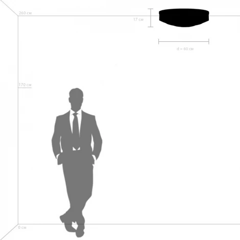 Потолочная люстра Lightstar Siena 720402 (220V, круглые)