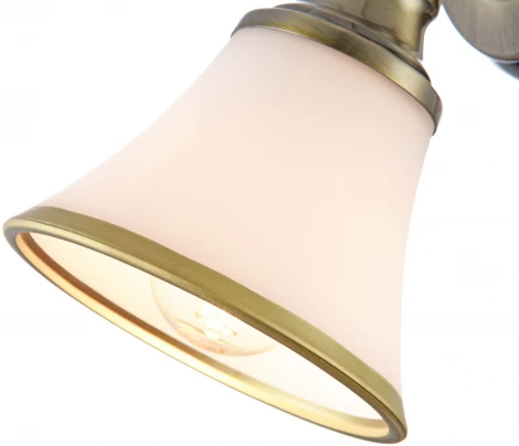 Спот Freya Jasinta FR2272-WL-01-BS (220V, круглые)