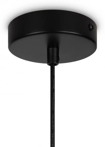 Подвесной светильник Freya Gatsby FR5232PL-04B (220V, на тросе, шарики, молекулы)