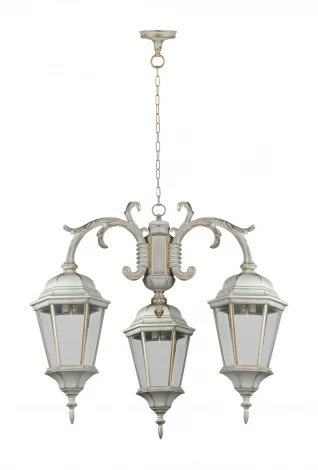 Уличный светильник подвесной Oasis Light ASTORIA 2 91470/3/16 cover Gw