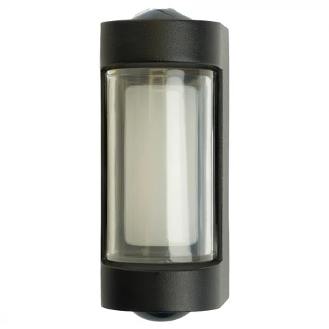 Настенный уличный светильник светодиодный Feron Челси 51493