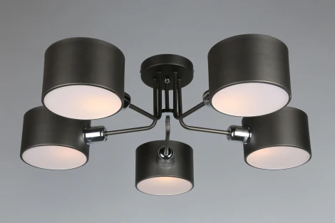 Потолочная люстра Omnilux Liser OML-54507-05 (220V)