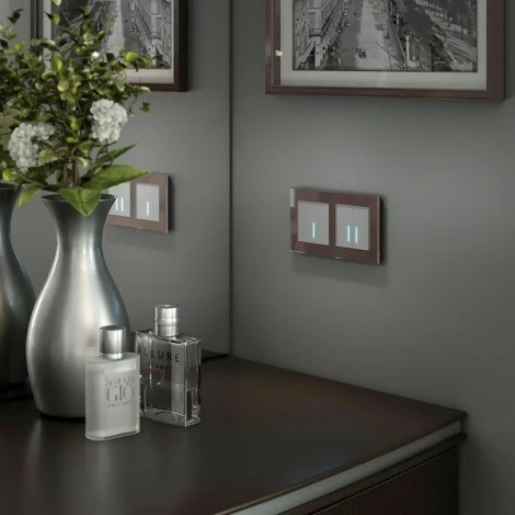 Сенсорный выключатель двухклавишный с подсветкой 1000 Вт (серебряный) W4520006 Werkel (a057681)