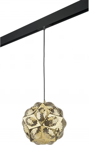 Трековый светильник однофазный 220V Lightstar Fermo PRO724312 (шар)