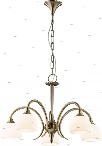 Подвесная люстра Odeon Light Adriana 1601/5