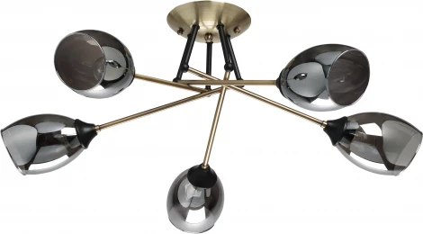 Потолочная люстра De City Вита 220014005