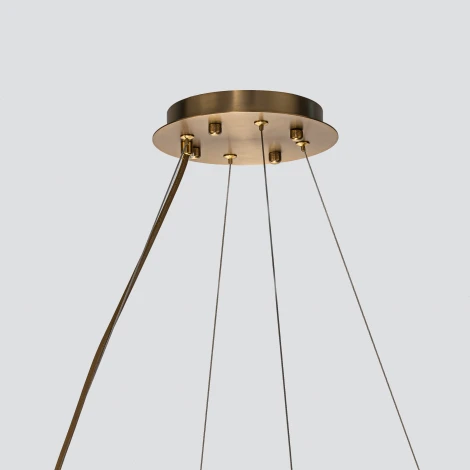 Подвесная люстра Favourite Glans 4303-12P (220V, на тросе)