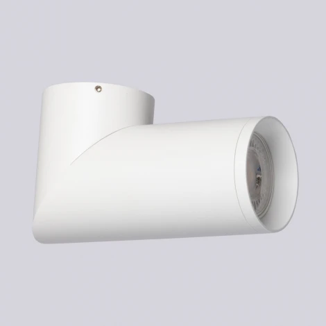 Спот DeMarkt Прайм 850011301 (220V, круглые)