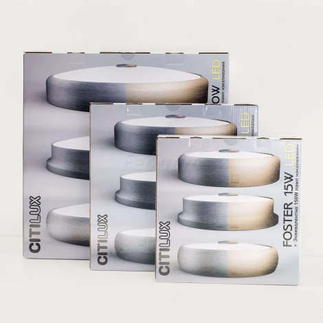 Настенно-потолочный светильник Citilux Фостер-2 CL706210