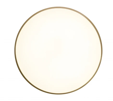 Потолочный светильник круглый со спотами Zortes Gabby ZRS.90610.50 (LED, 220V, круглые)