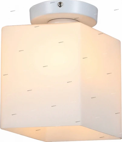 Настенно-потолочный светильник ST Luce Aspetto SL548.501.01