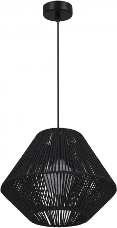 Подвесной светильник Evoluce Ettan SLE6025-403-01 черный/черный E27 1*40W (220V, на проводе)