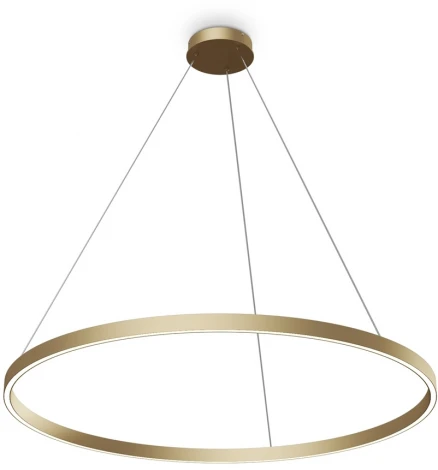 Подвесной светильник Maytoni Rim MOD058PL-L54BSK