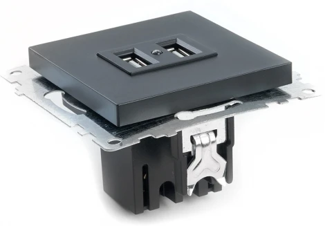 Розетка с USBх2 (черный) Stekker Катрин 39616