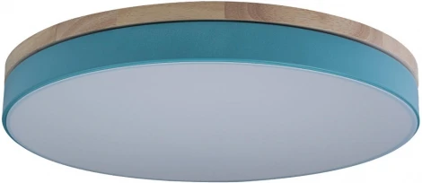 Потолочный светильник круглый Loft IT Axel 10001/36 Blue (LED, 220V, круглые)