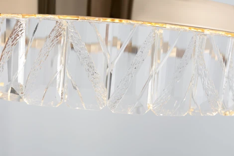 Подвесной светильник светодиодный Rivoli Erika 6131-105 (220V, на тросе, круглые)