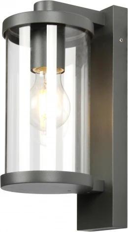 Настенный фонарь уличный Favourite Lukturis 3038-1W (220V, IP44)