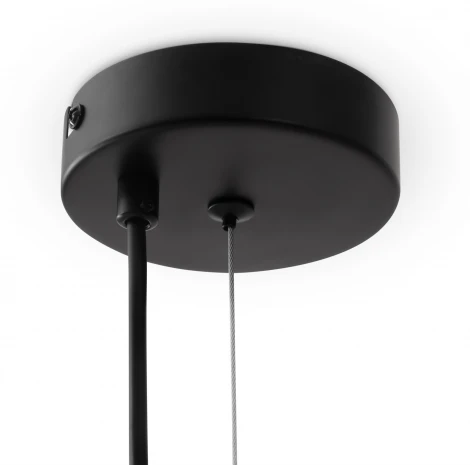 Подвесной светильник Freya Evidence FR5372PL-05B (220V, на тросе)
