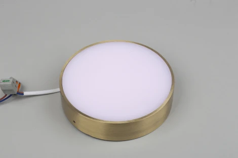 Потолочный светильник круглый Aployt Evon APL.0114.29.18 (LED, 220V, круглые)