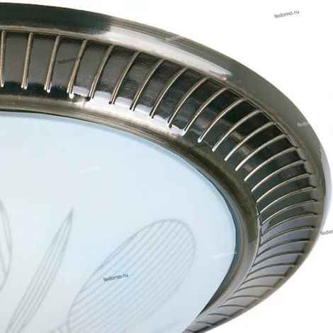 Потолочный светильник Toplight Fae TL5060Y-02AB