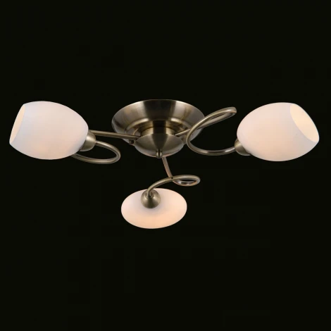 Потолочная люстра Фиеста 267014403